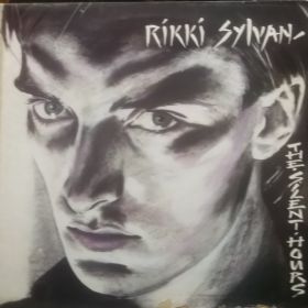 Rikki Sylvan – The Silent Hours