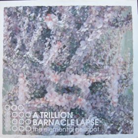 A Trillion Barnacle Lapse – The Elemental Gearbot