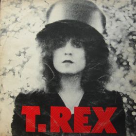 T. Rex ‎– The Slider
